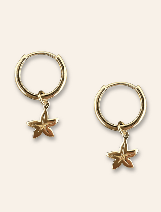 Sea Star Cercle Hoops - Haylo & Co.