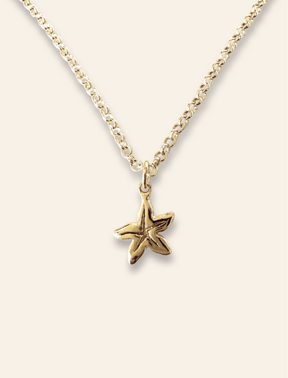 Sea Star Pendant - Haylo & Co.