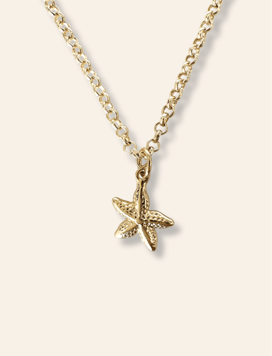 Sea Star Pendant - Haylo & Co.