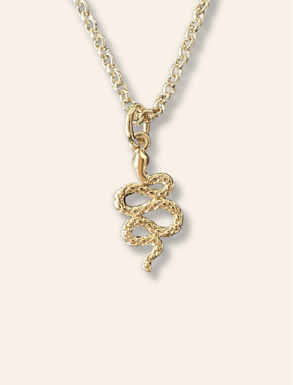 Serpent Pendant - Haylo & Co.