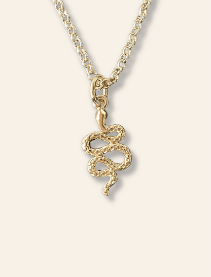 Serpent Pendant - Haylo & Co.